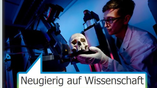 Screenshot max-wissen.de